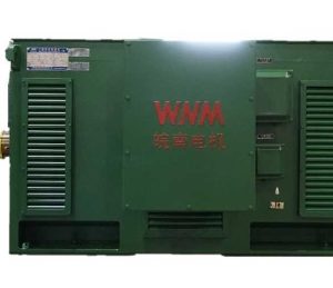 Высоковольтный электродвигатель Wannan Y3551-2