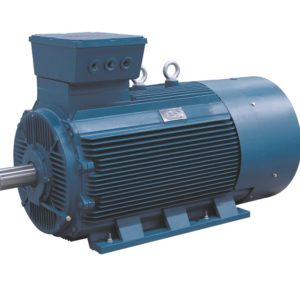 YLV